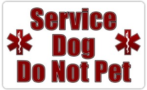 Sign or patch that says "Service Dog - Do Not Pet"