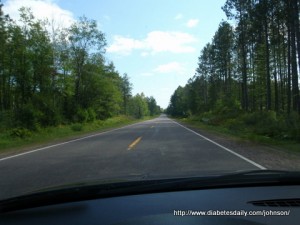 Picture of a long straight highway with tall trees on both sides