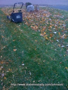 Picture of my lawn partially mowed